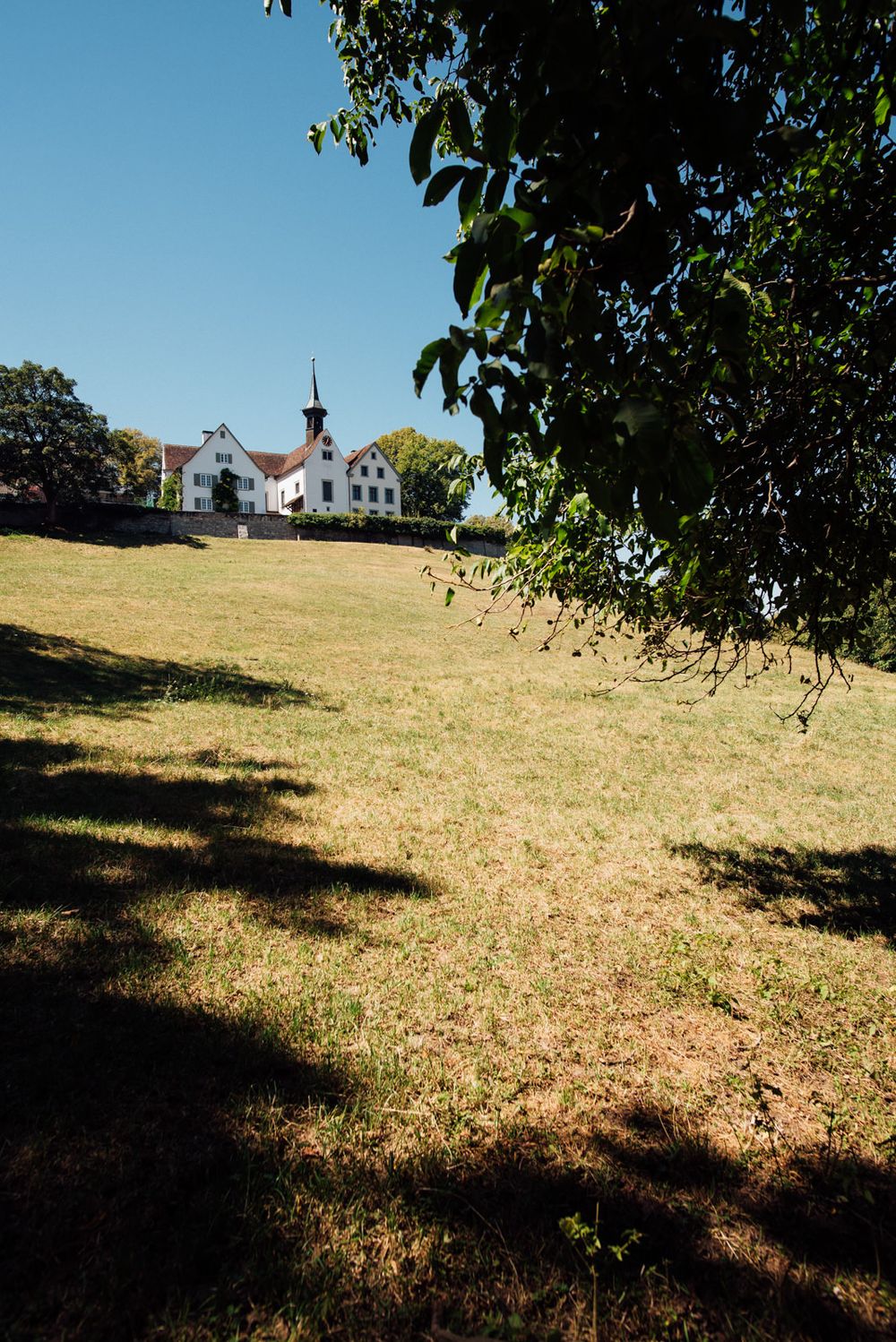 White church steeple visible across sunny meadow with trees in foreground.