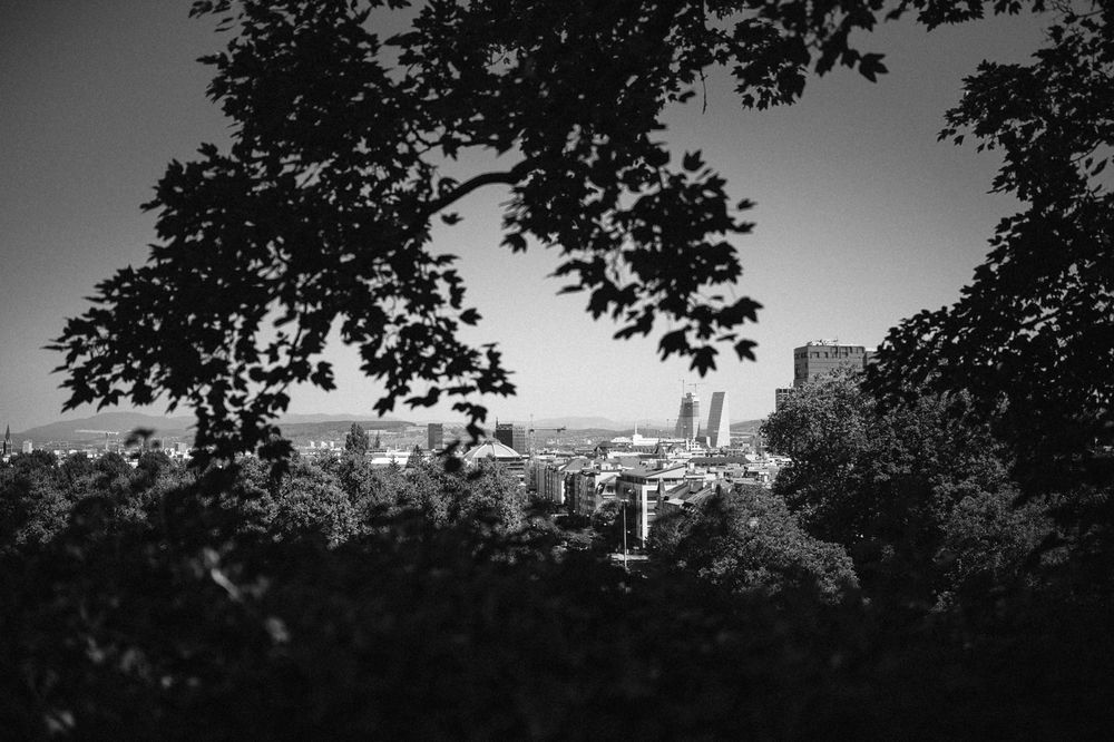Black and white cityscape view through tree branches showing historic buildings.
