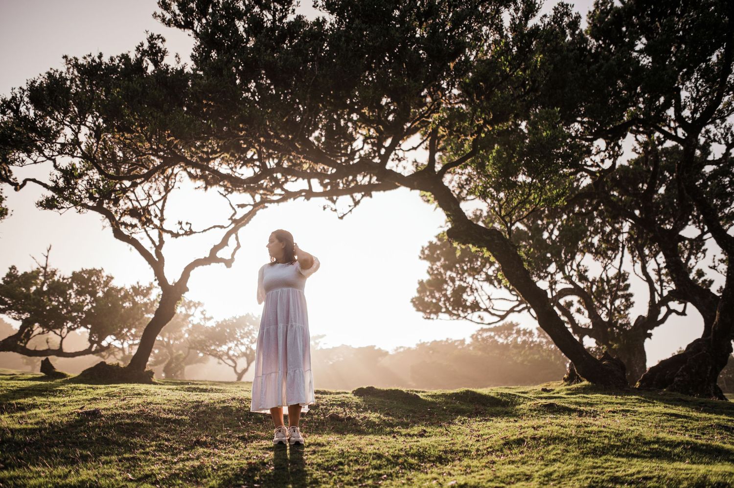 Silhouette of person in flowing dress looking at sunset through tree branches.