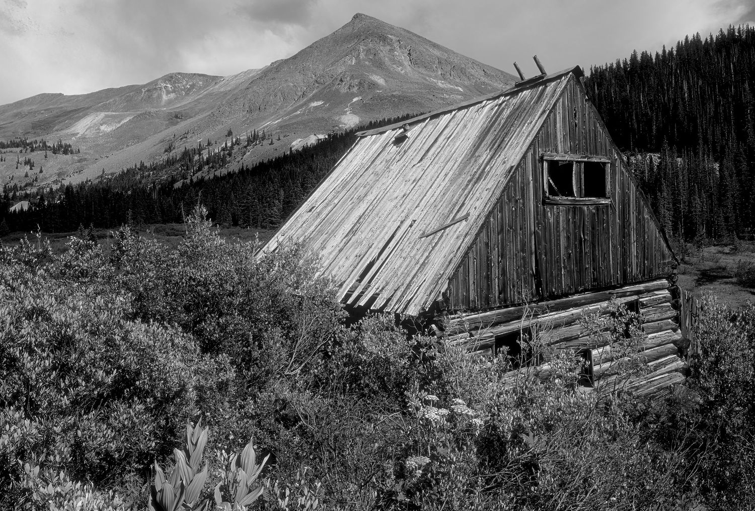 Argentine, Colorado