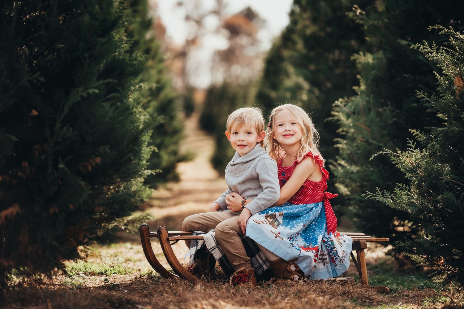 older sister hugs brother from behind as they sit on an antique sled in a row of christmas trees for mini session