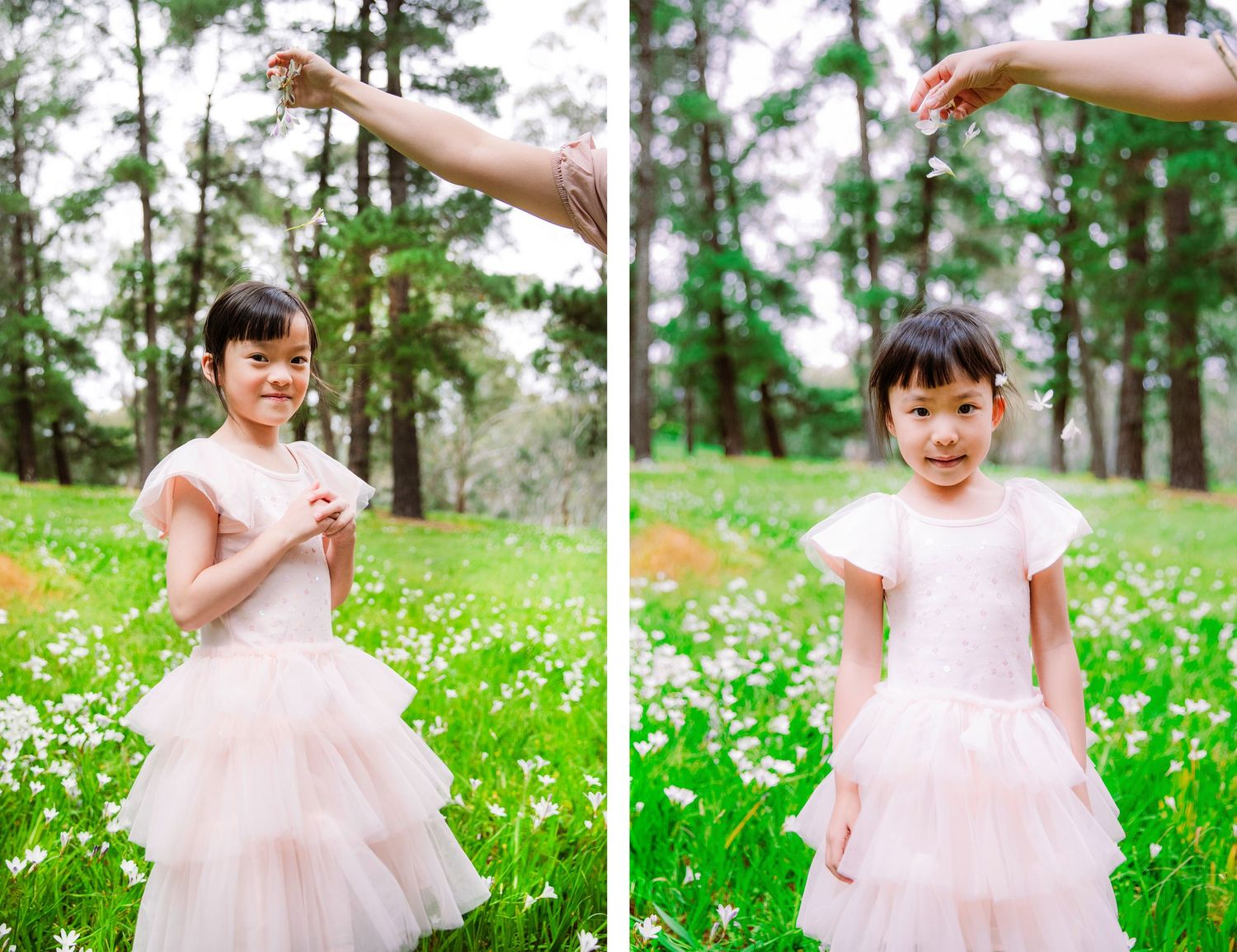 family photographer near me