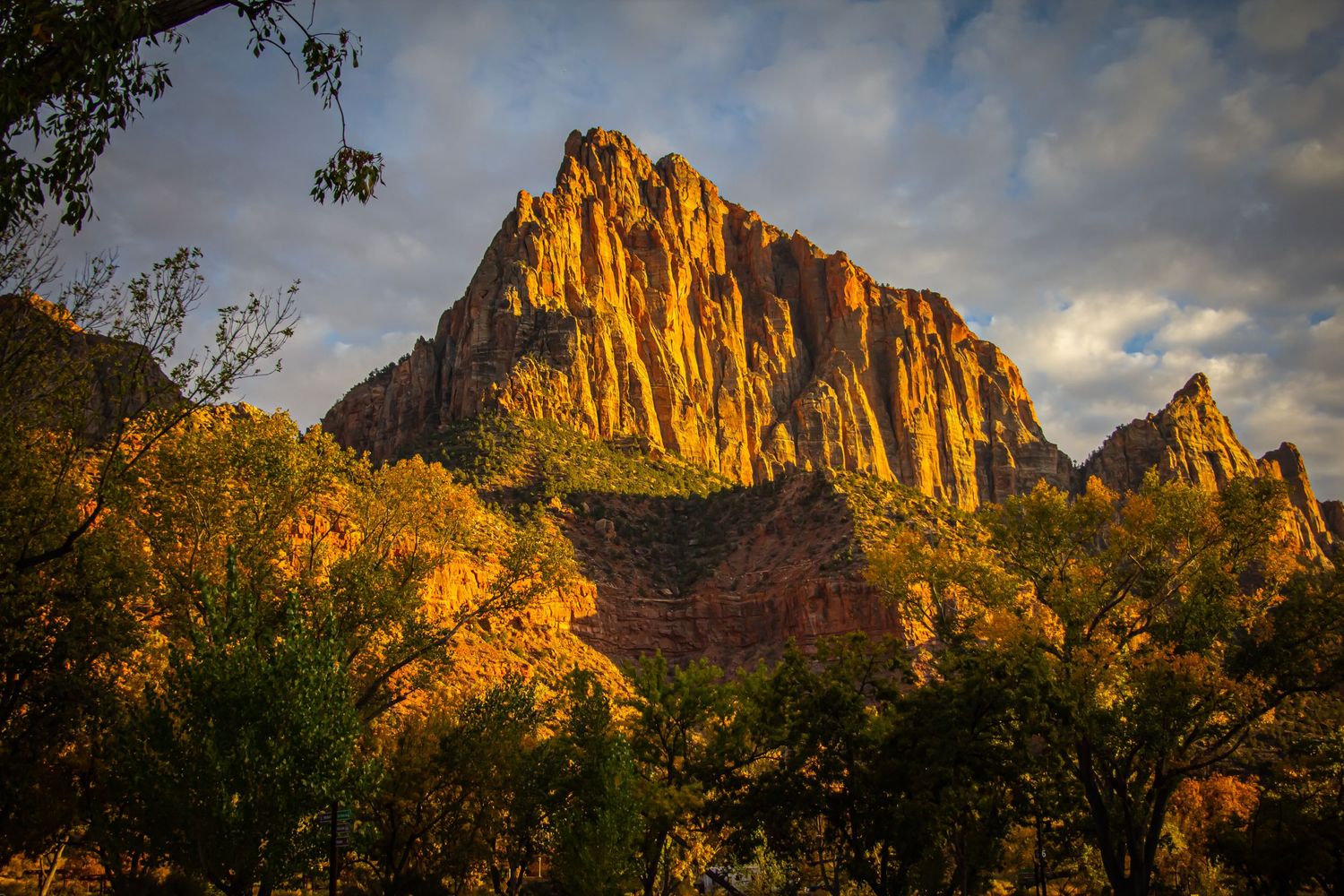 Zion National Park