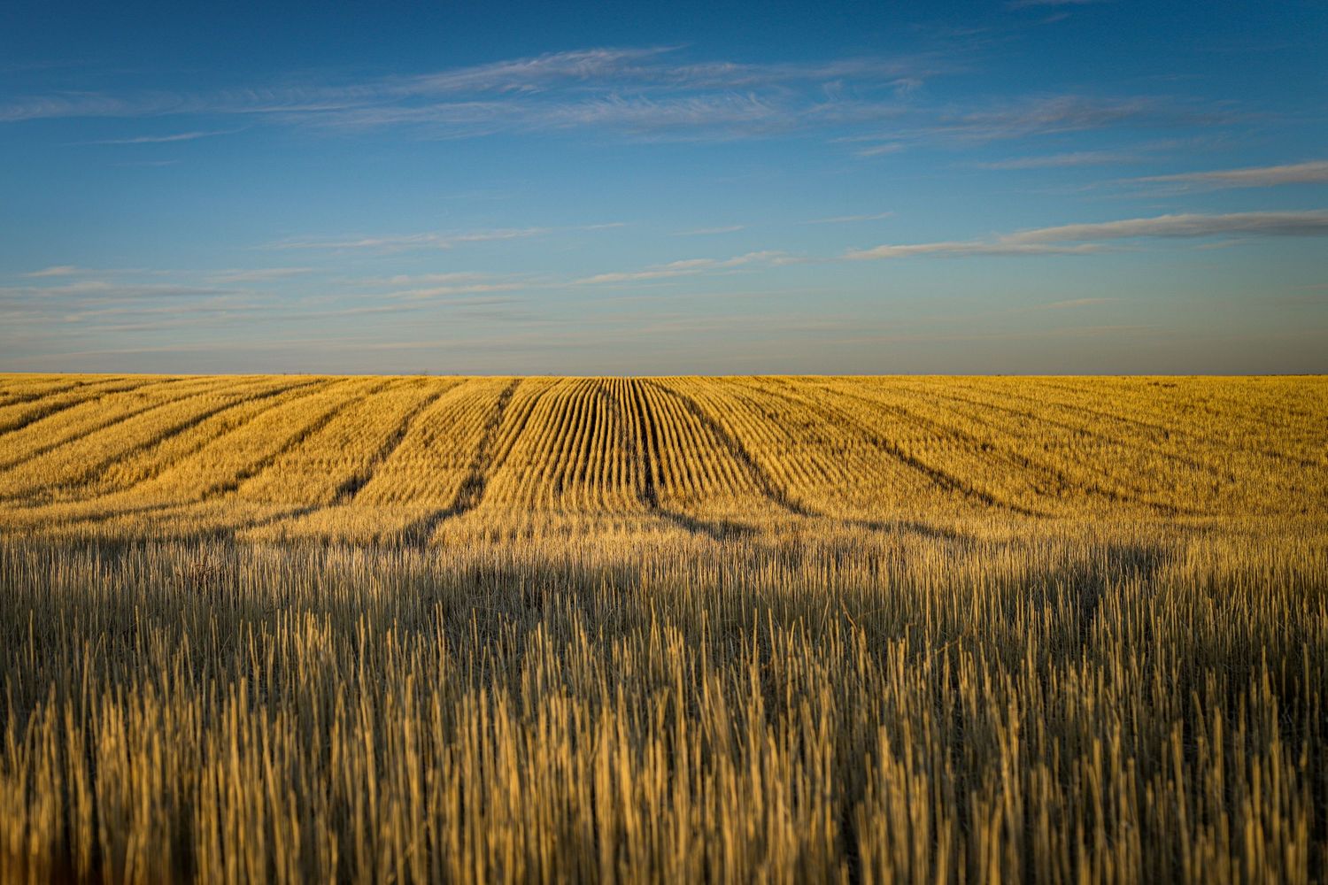 Colorado Farm in Fall