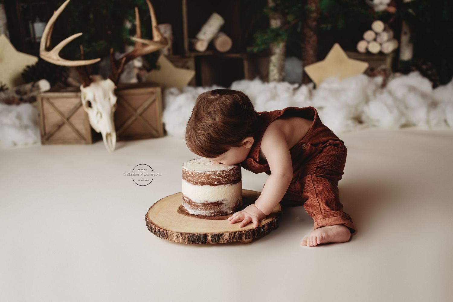 Professional milestone toddler cake smash photo