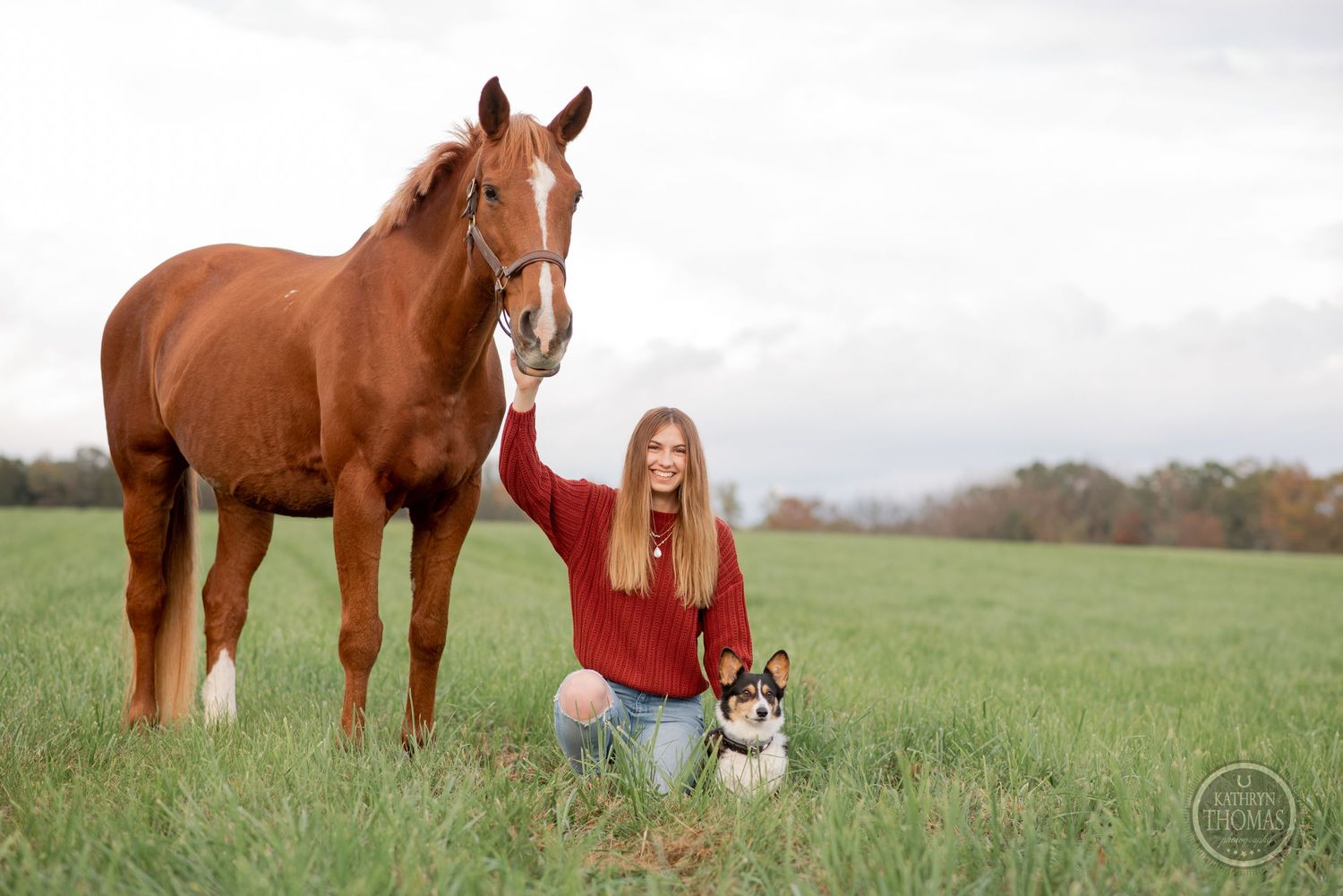 A chestnut horse, person in red sweater, and small dog gather together in a grassy field.