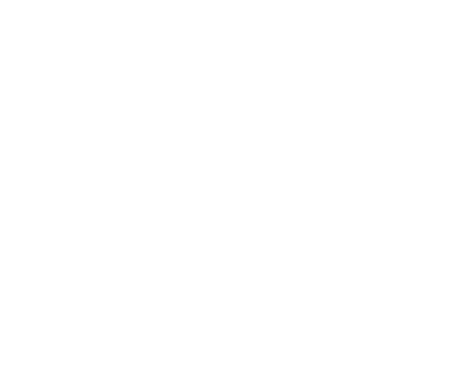 White floral and bird logo design for Birdie + May Photography on black background.