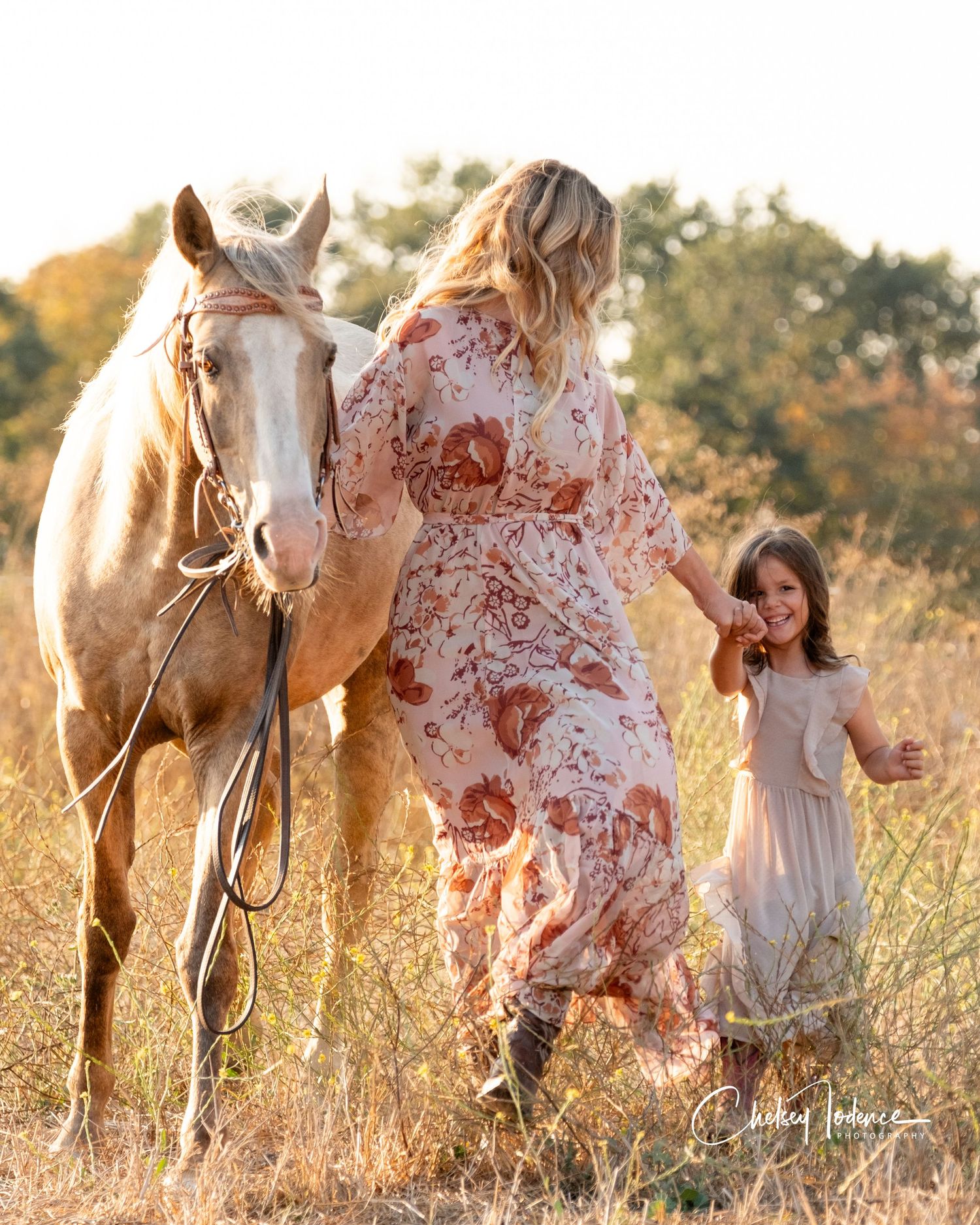 Equine and family portrait of a mother holding her childs hand while walking beside a horse in a sunlit field, photographed in Sonoma County