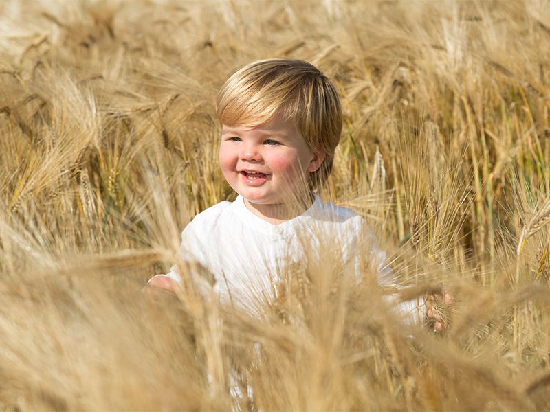 A young boy plays in a golden wheat field during summer in Buckinghamshire, photographed by Abigail's Studio.