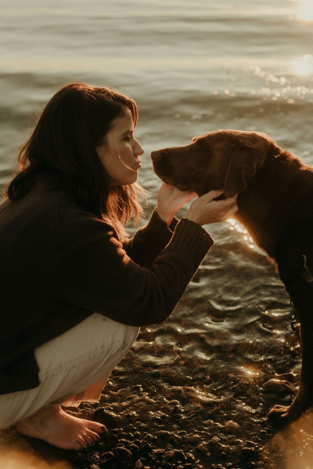 Person bonding with dog on rocky beach during golden sunset.