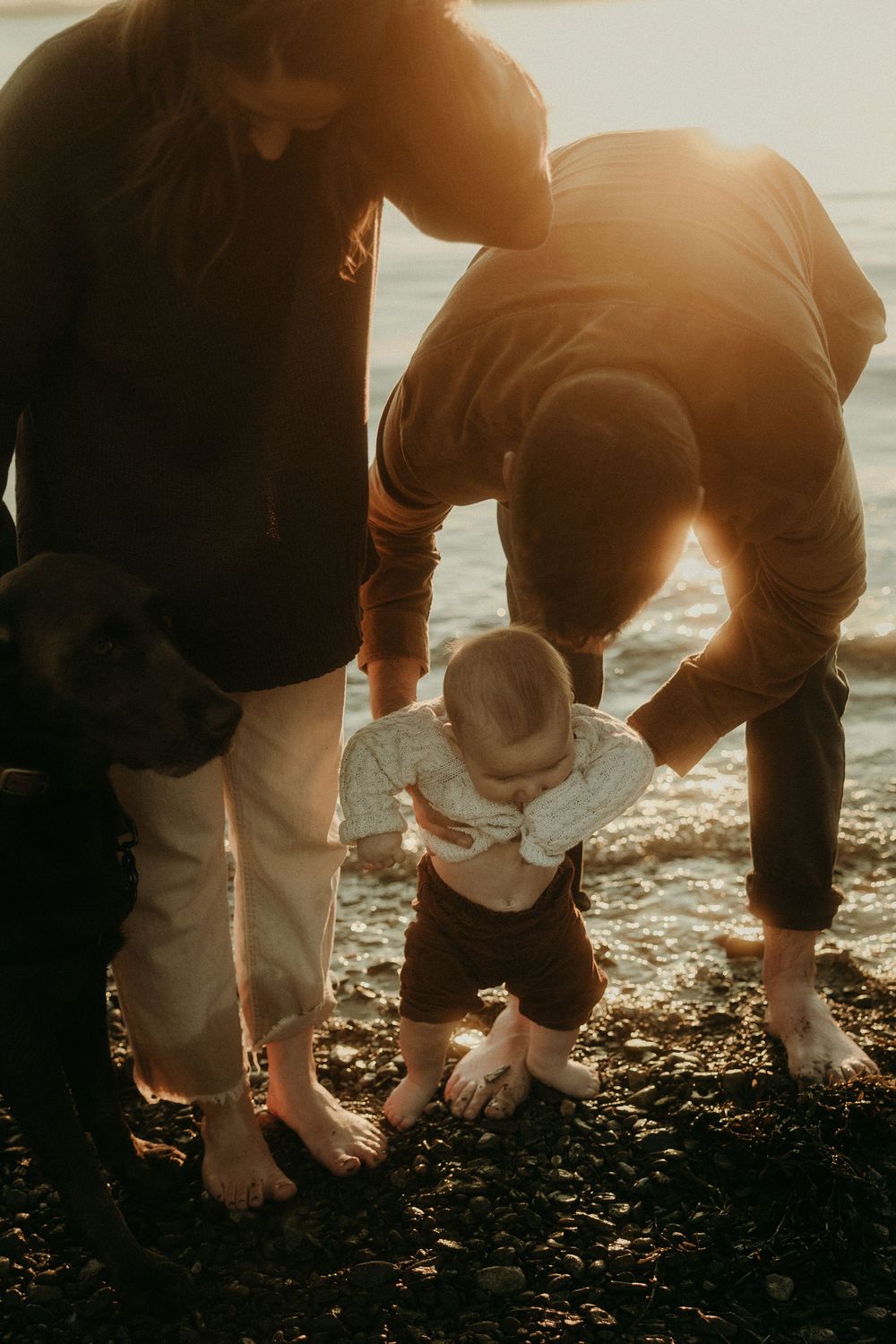 People searching for treasures on rocky beach during sunset.