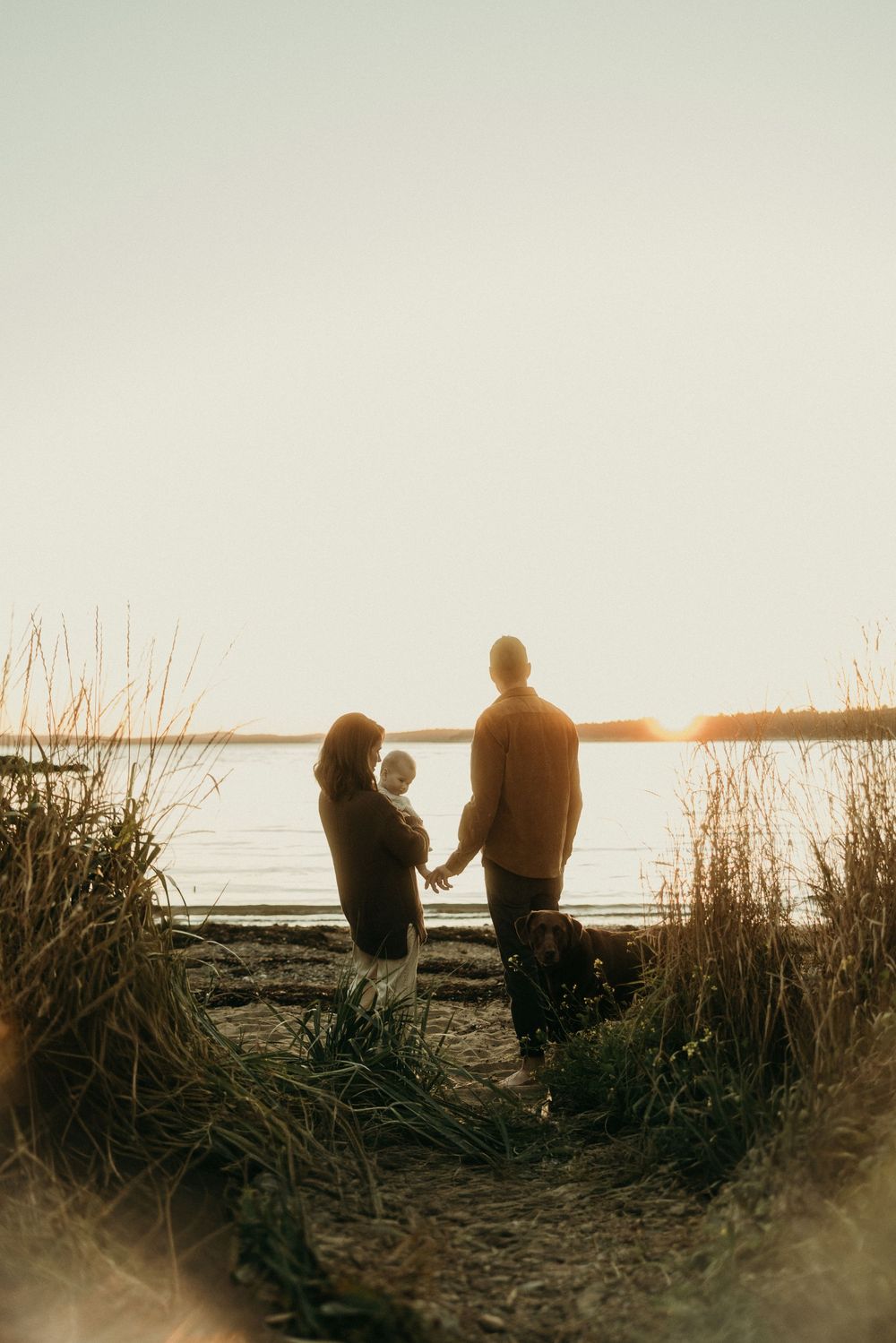 Silhouettes of people sitting among tall grass watching sunset over water.