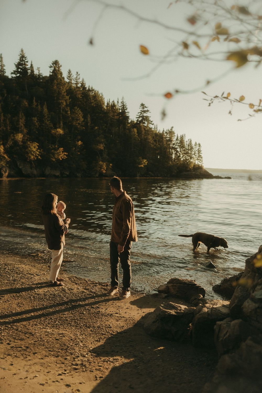 People and dog exploring a scenic rocky beach at sunset with evergreen trees.
