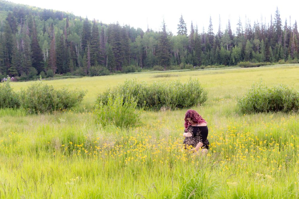 Scenic meadow landscape with wildflowers and evergreen forest in the background.