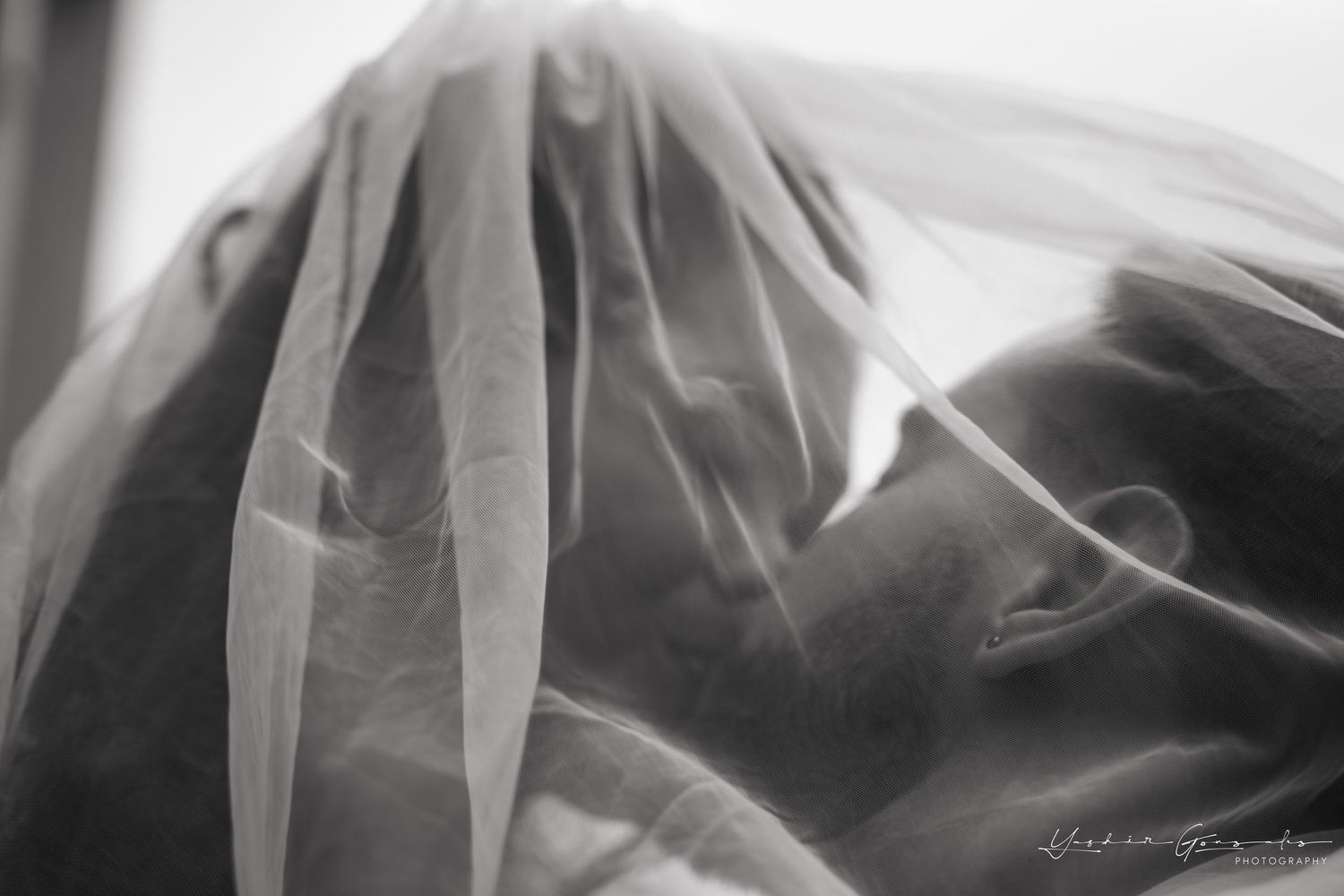 Black and white artistic portrait of a bride partially covered by a flowing wedding veil.

Vancouver Canada Scene