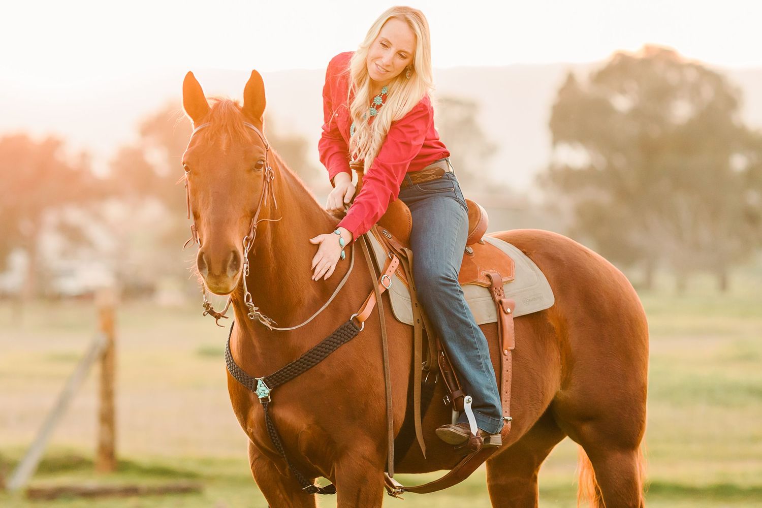 A rider in casual wear sits atop a chestnut horse during golden hour.