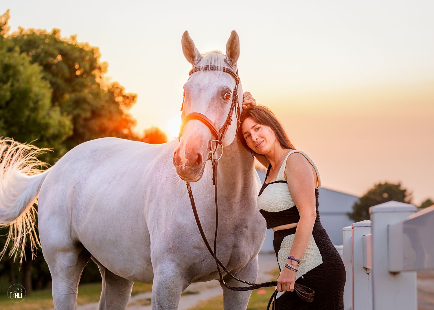 A bay horse stands near a wooden fence while someone rests on the railing.