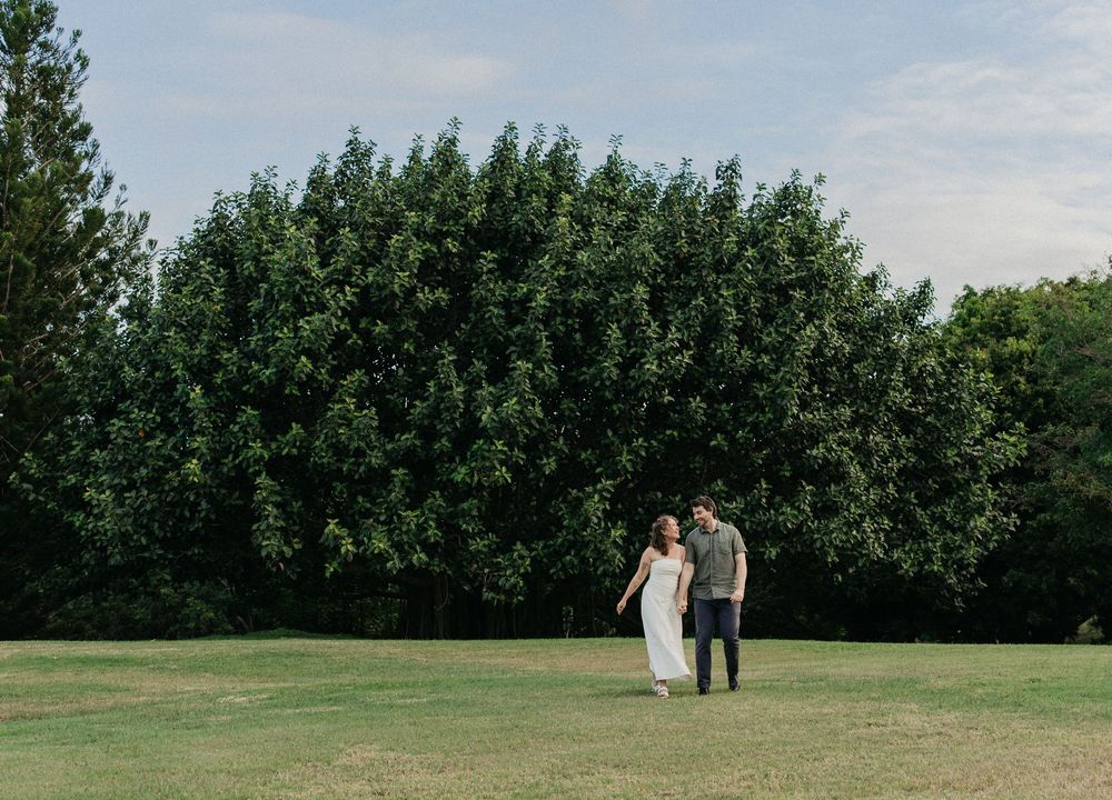 Couple holding hands walking across green grass lawn with large lush tree backdrop during outdoor engagement session.