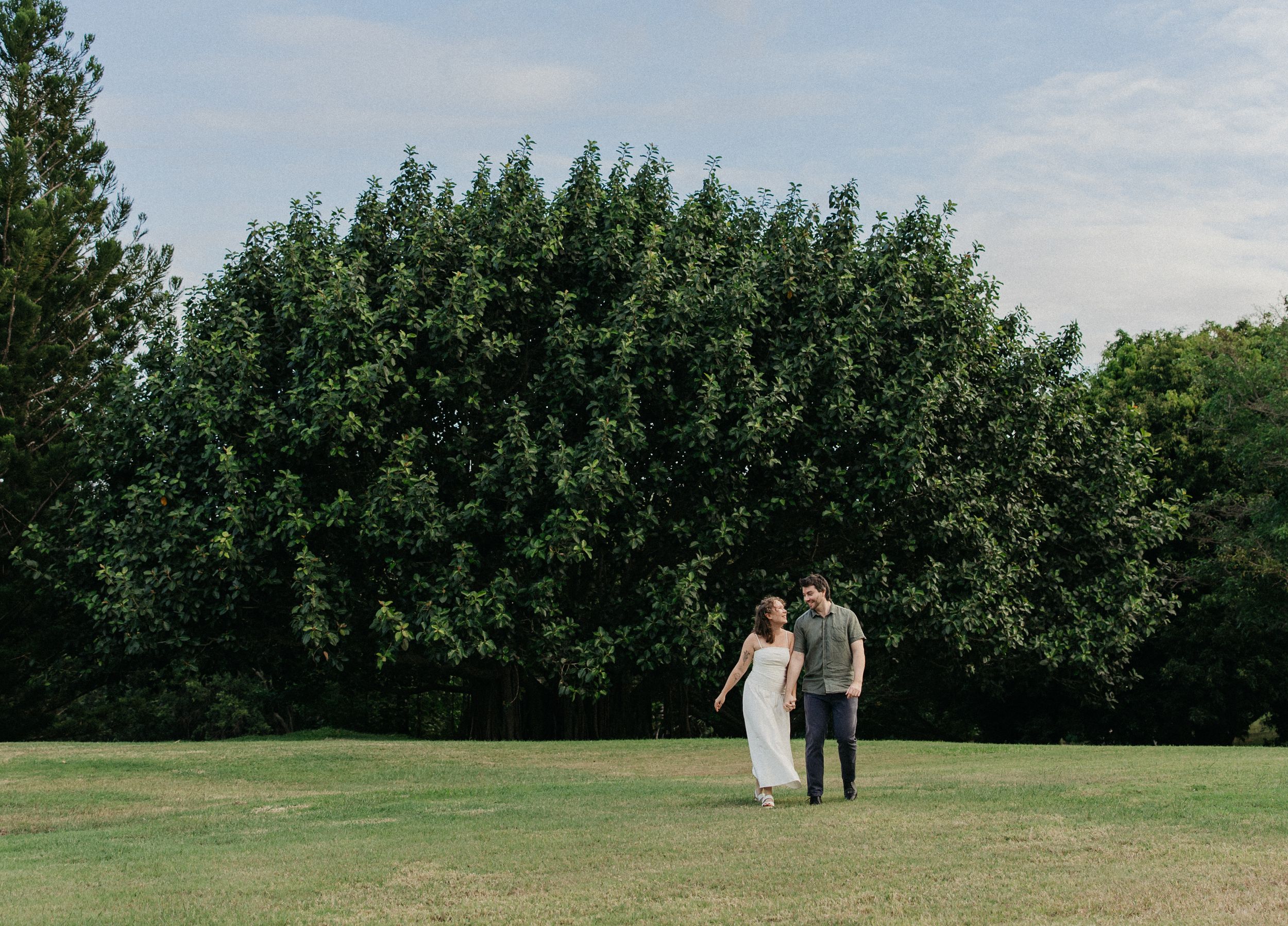 Couple holding hands walking across green grass lawn with large lush tree backdrop during outdoor engagement session.