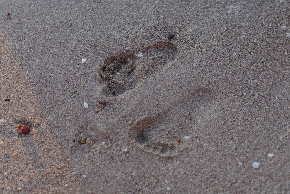 footprints