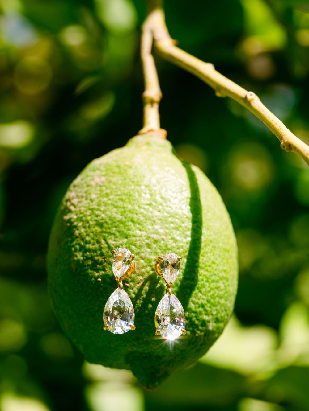 Crystal teardrop earrings displayed on green lime hanging from tree branch.