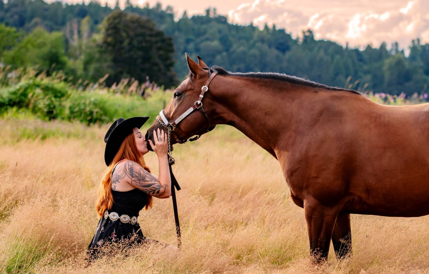 AE Equine Photography specializes in stunning horse photography in Abbotsford, BC.