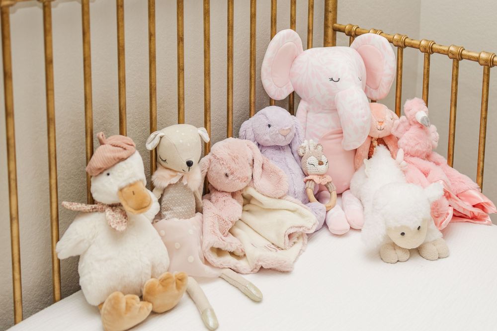 Newborn nursery