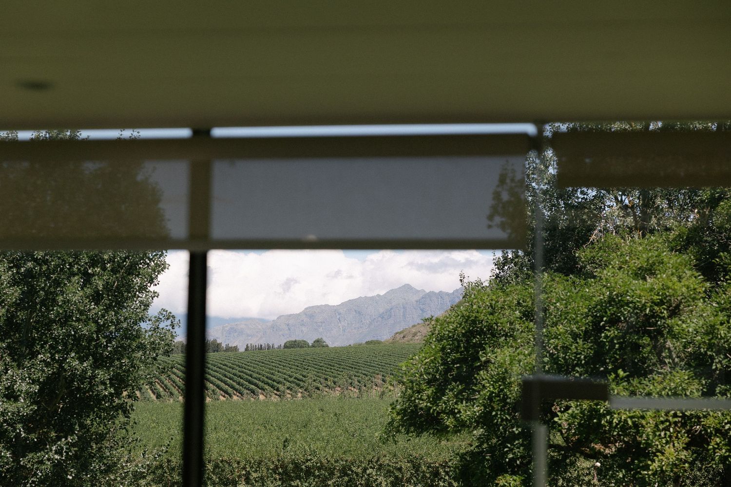 Cape Town wedding photographer Christene de Coning documentary wedding at Babylonstoren with dear rae and Bo & Luca