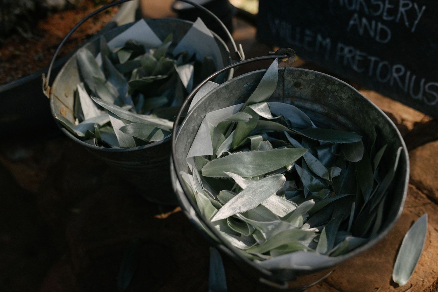 Cape Town wedding photographer Christene de Coning documentary wedding at Babylonstoren with dear rae and Bo & Luca