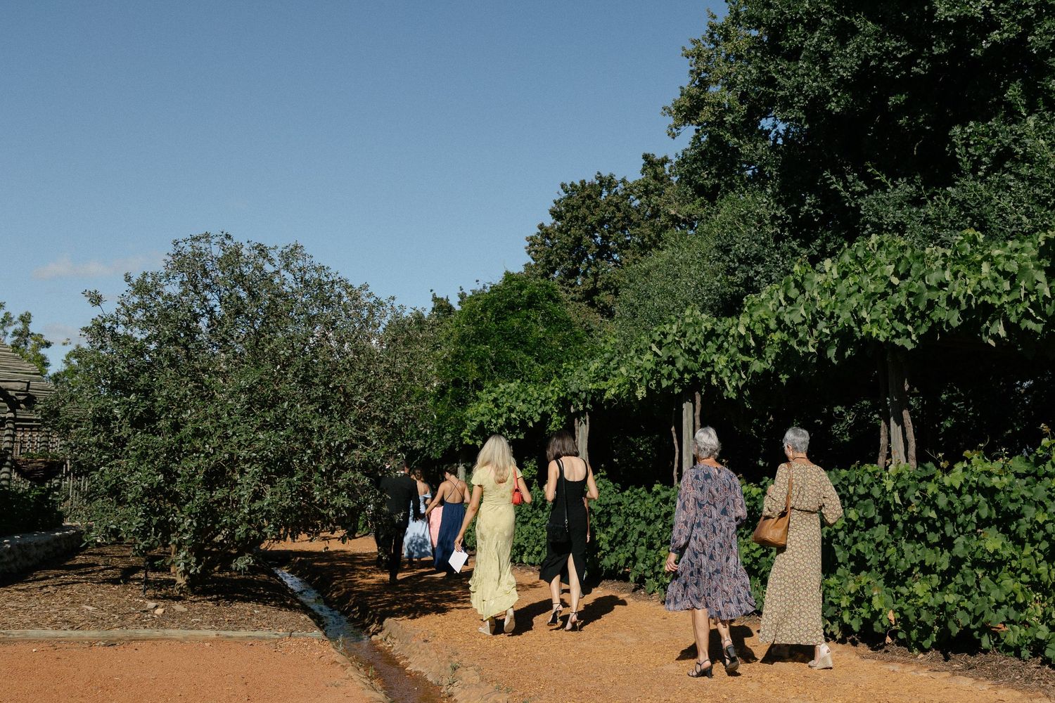 Cape Town wedding photographer Christene de Coning documentary wedding at Babylonstoren with dear rae and Bo & Luca