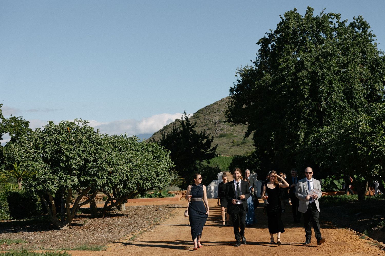 Cape Town wedding photographer Christene de Coning documentary wedding at Babylonstoren with dear rae and Bo & Luca