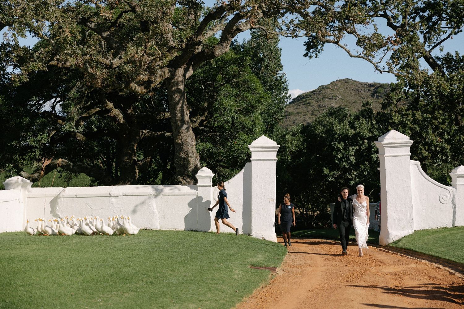 Cape Town wedding photographer Christene de Coning documentary wedding at Babylonstoren with dear rae and Bo & Luca