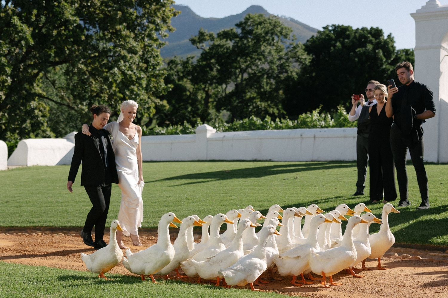 Cape Town wedding photographer Christene de Coning documentary wedding at Babylonstoren with dear rae and Bo & Luca