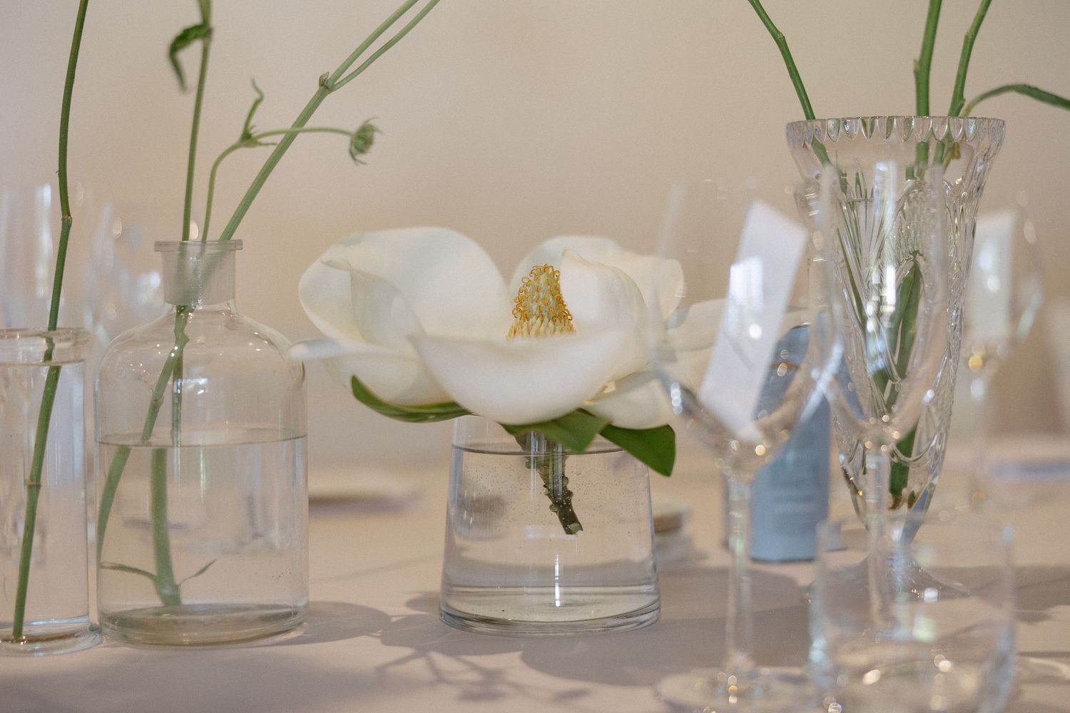 Cape Town wedding photographer Christene de Coning documentary wedding at Babylonstoren with dear rae and Bo & Luca