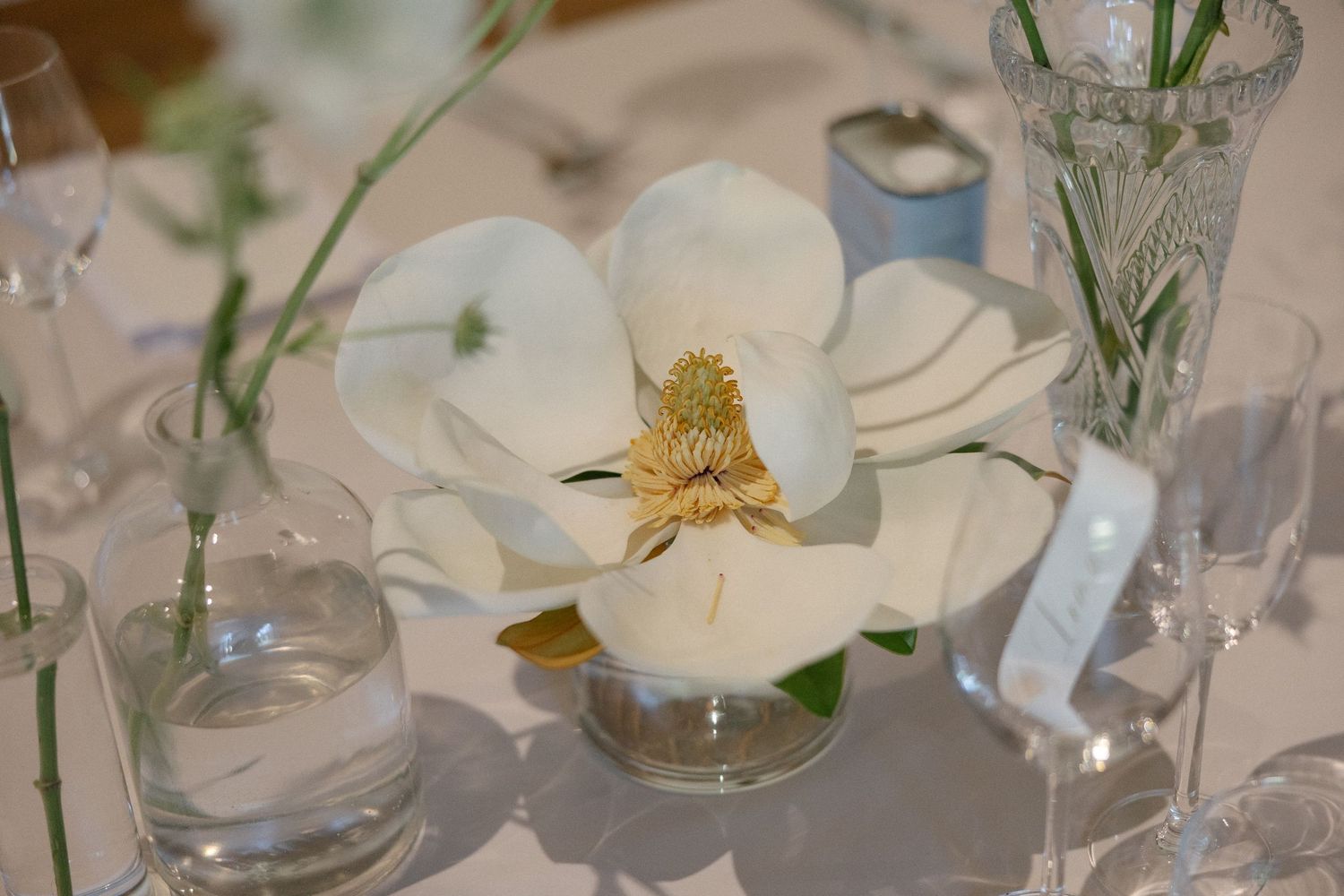 Cape Town wedding photographer Christene de Coning documentary wedding at Babylonstoren with dear rae and Bo & Luca