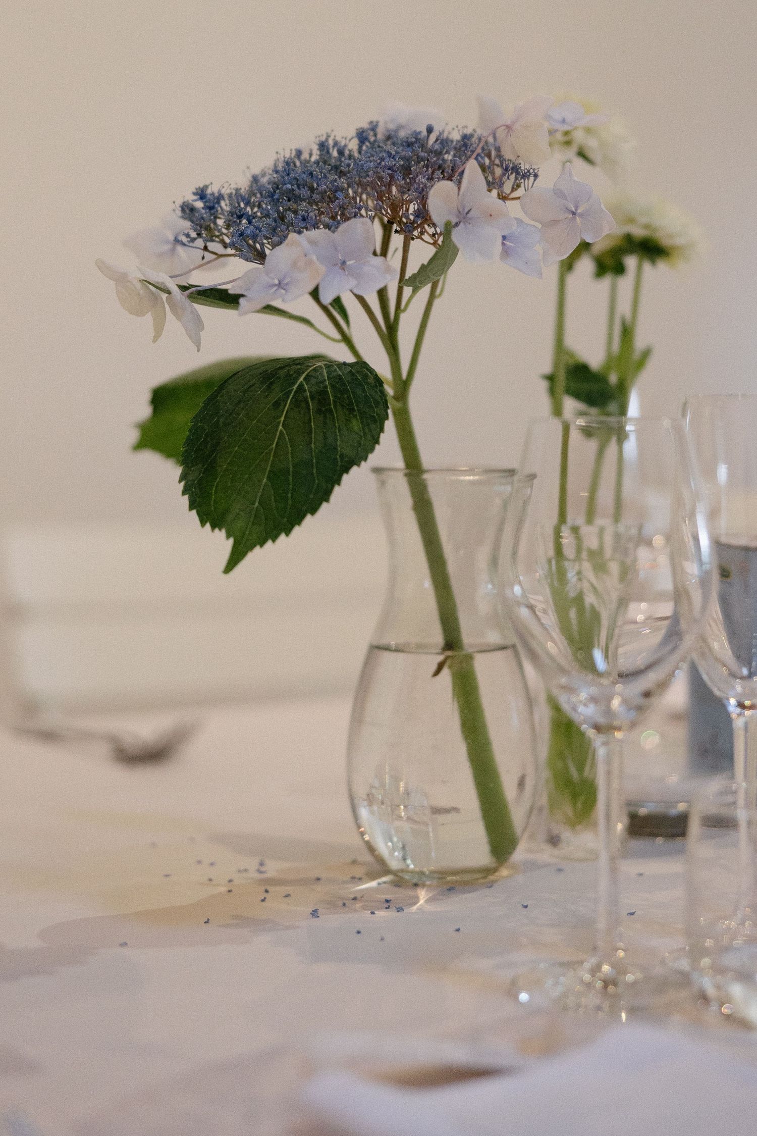 Cape Town wedding photographer Christene de Coning documentary wedding at Babylonstoren with dear rae and Bo & Luca