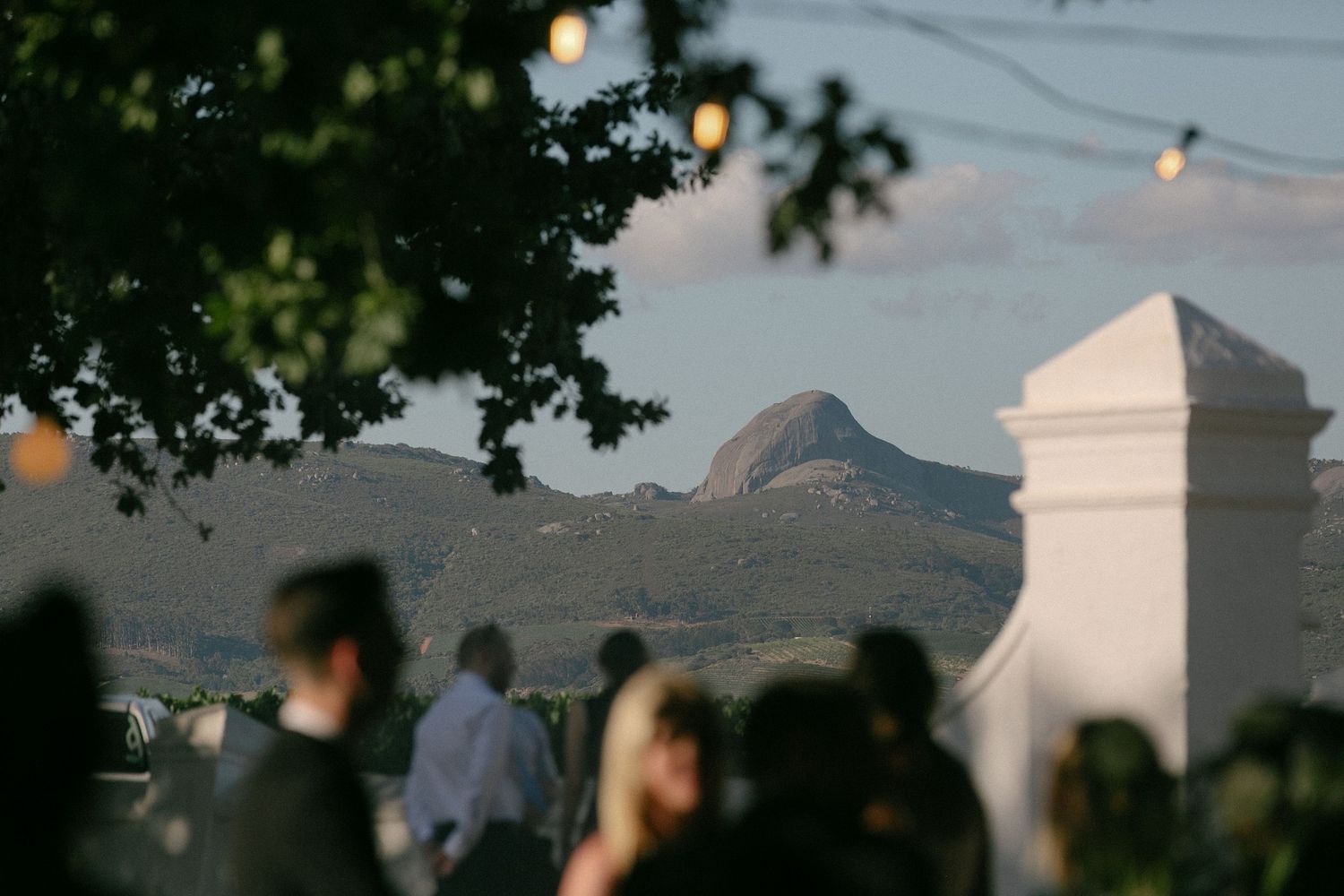 Cape Town wedding photographer Christene de Coning documentary wedding at Babylonstoren with dear rae and Bo & Luca