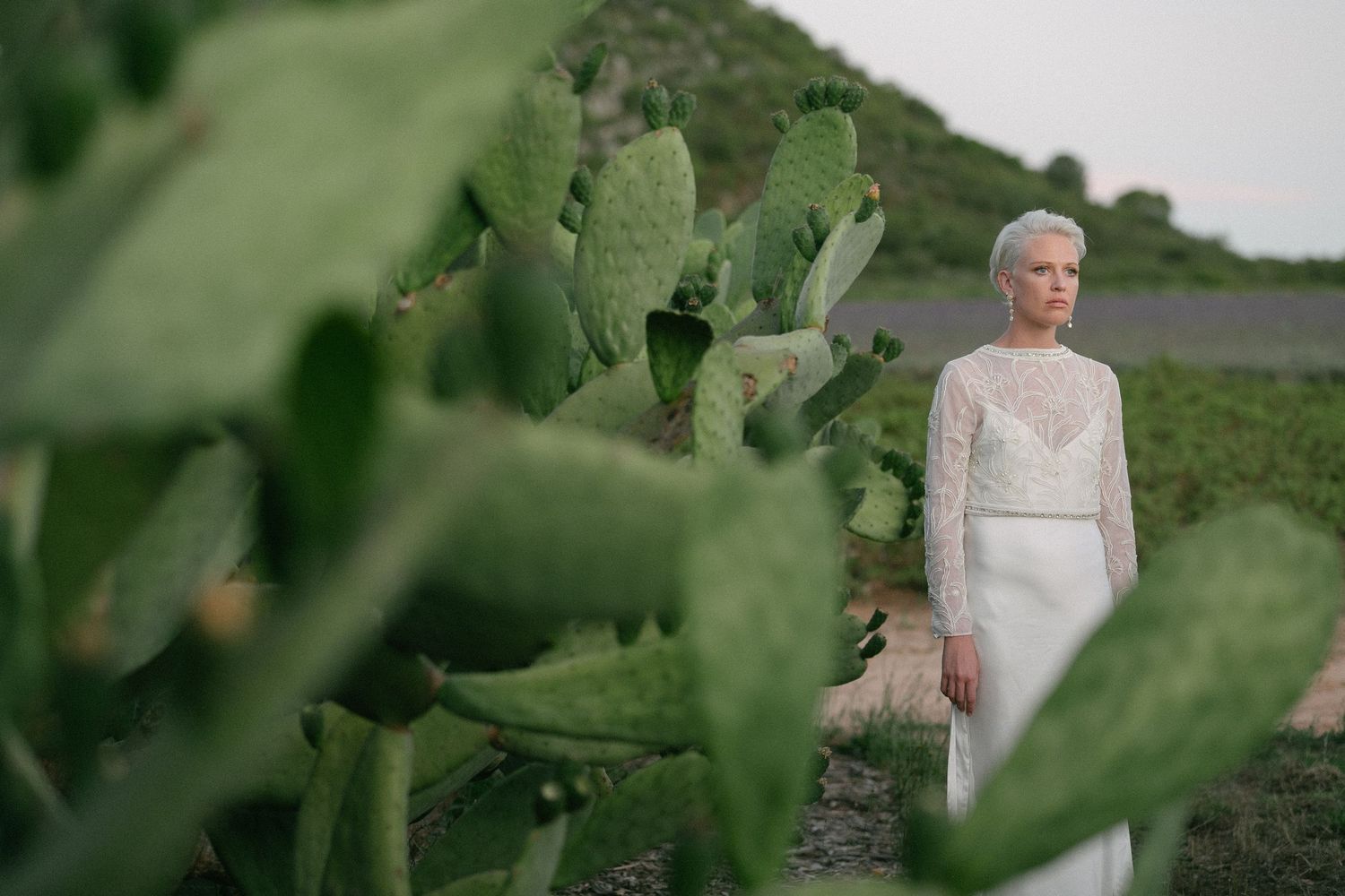 Cape Town wedding photographer Christene de Coning documentary wedding at Babylonstoren with dear rae and Bo & Luca