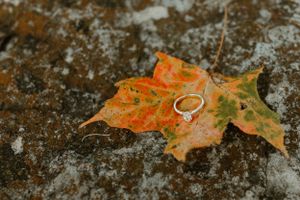 A golden autumn maple leaf with a ring placed on top rests on a textured stone surface.