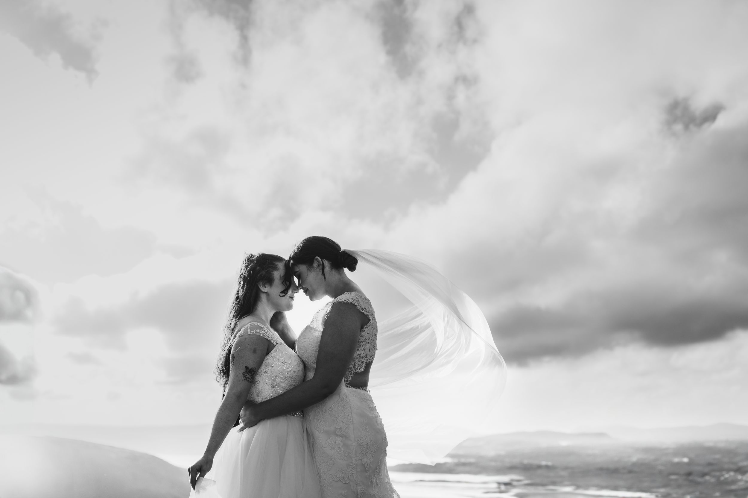 A romantic black and white wedding scene with a flowing veil caught in the wind against a dramatic cloudy sky.