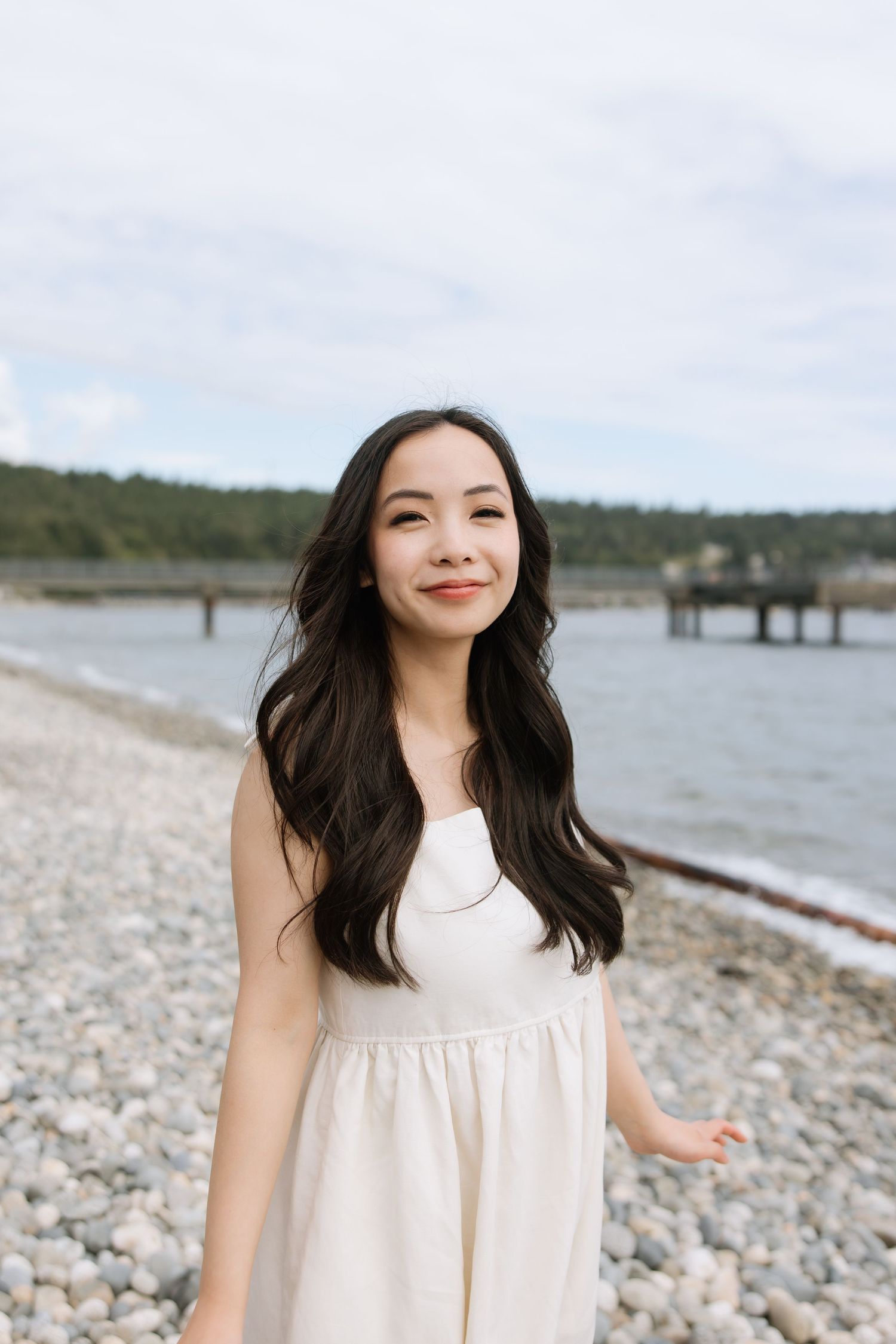 Seaside portrait with rocky beach and pier in background.