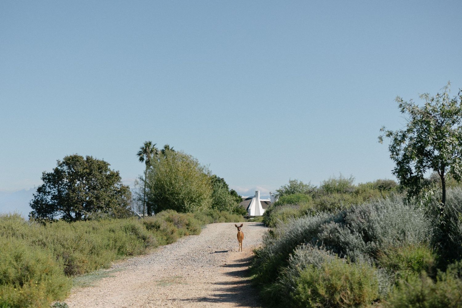 Penhill wedding photos with Christene de Coning Photography in Nuy Valley, a Perfect Hideaways locaton in Cape Town, South Africa