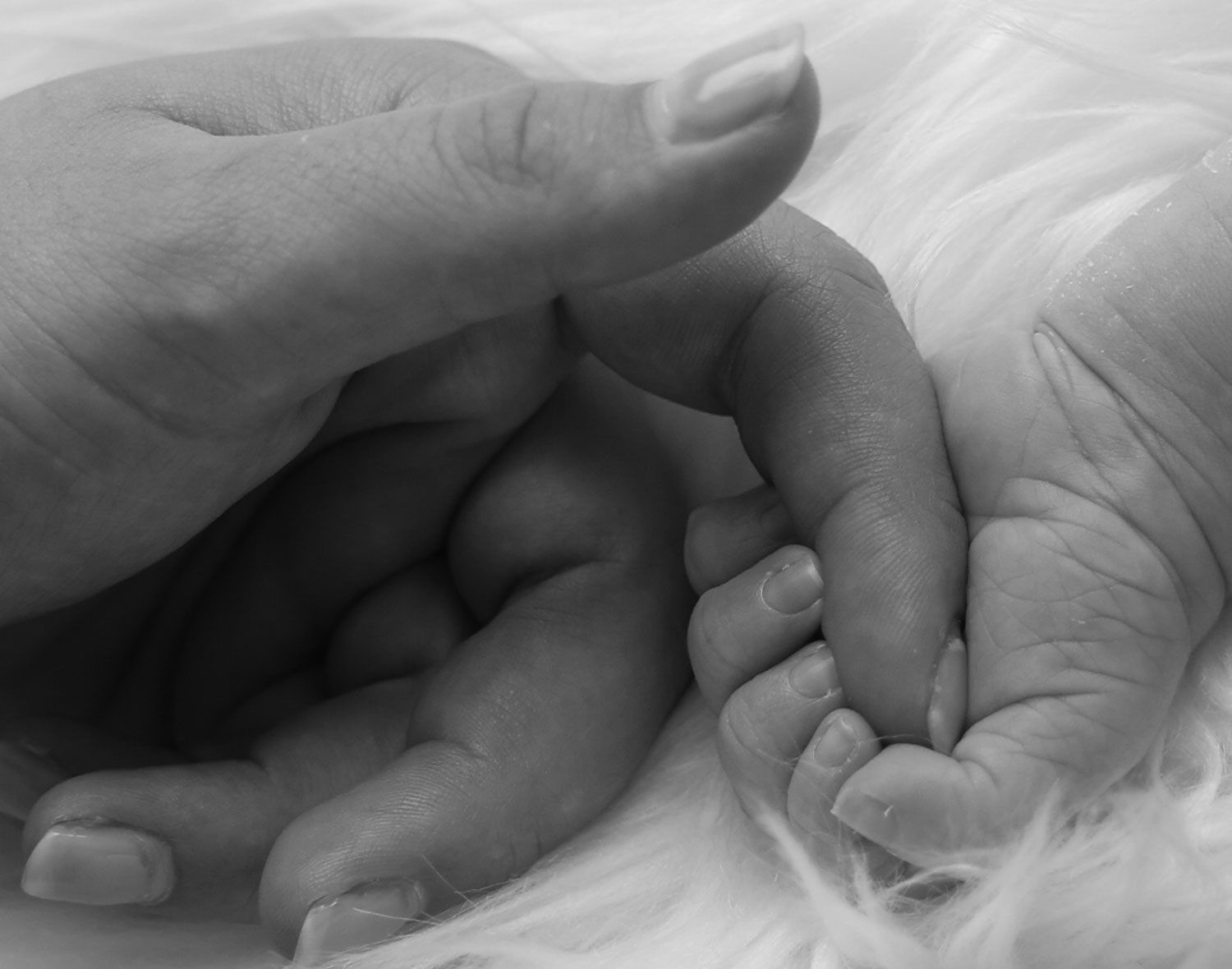 Black and white macro detail shot capturing the tiny fingers of a newborn baby holding a parent's hand