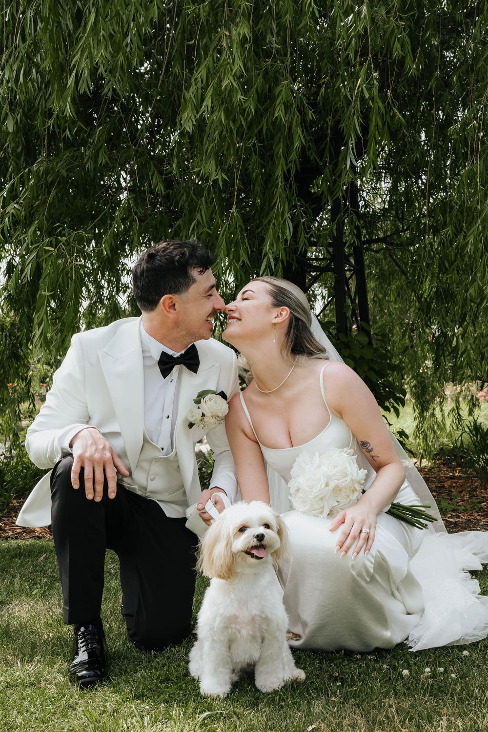 A romantic wedding couple sits on grass under a willow tree with their small white dog in a series of sweet moments.