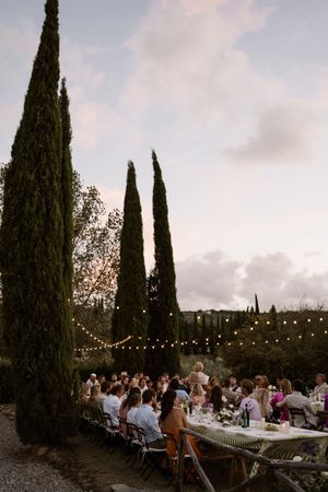 Wedding guests dine at long tables under string lights and cypress trees at an outdoor evening reception.