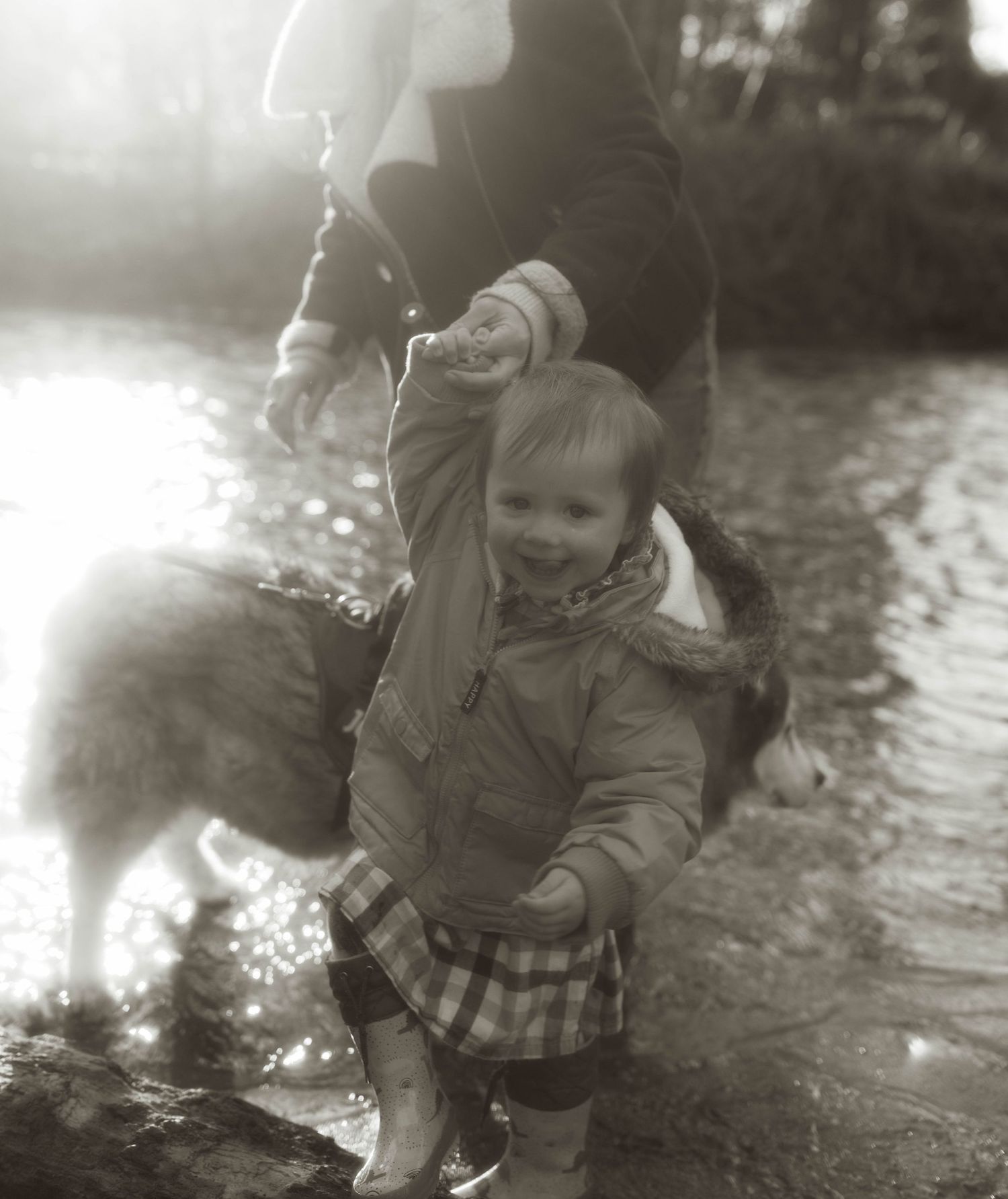 family photoshoot in the woods north wales
