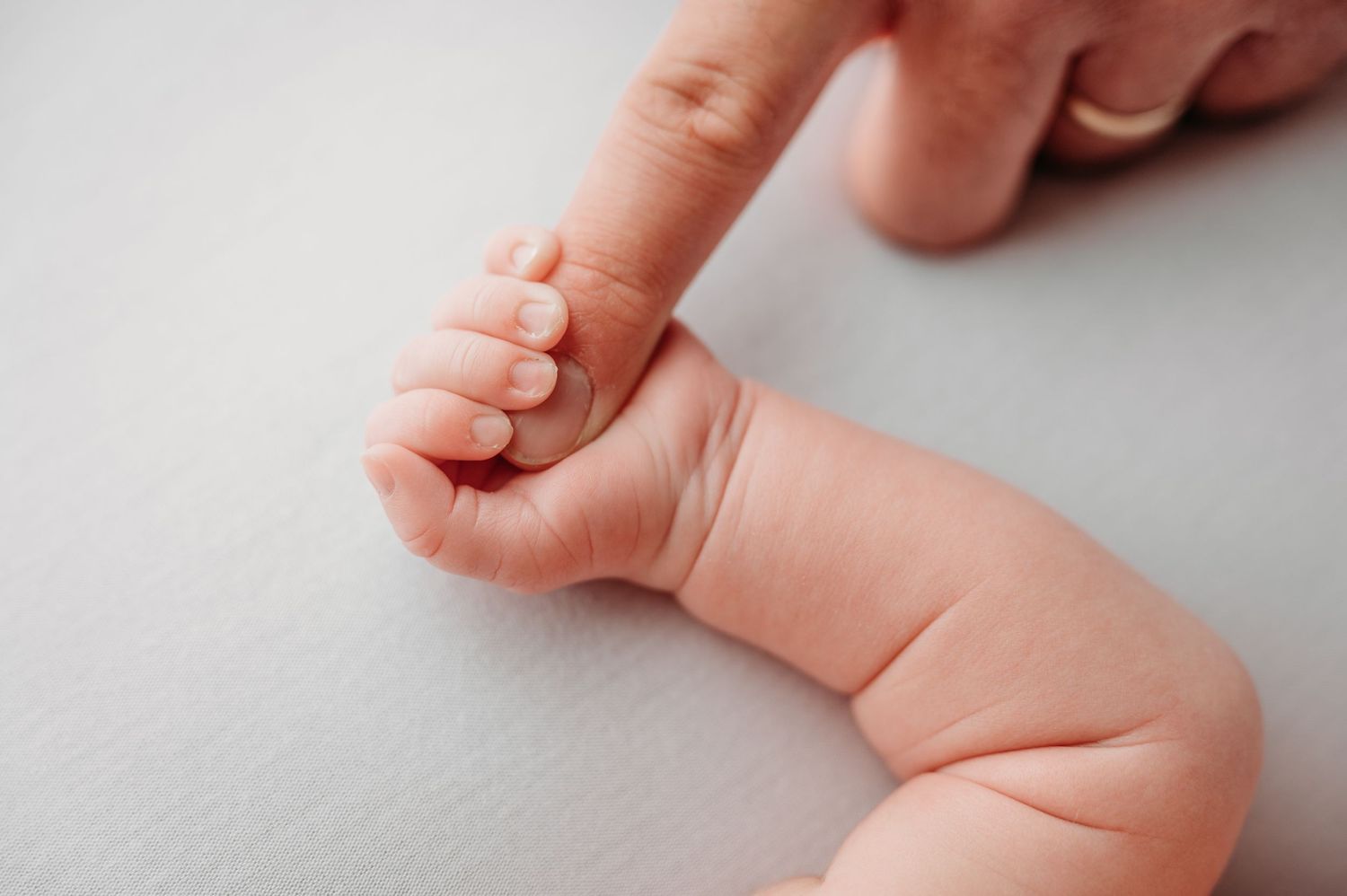Dad's index finger being held by newborns hand on a white backdrop.