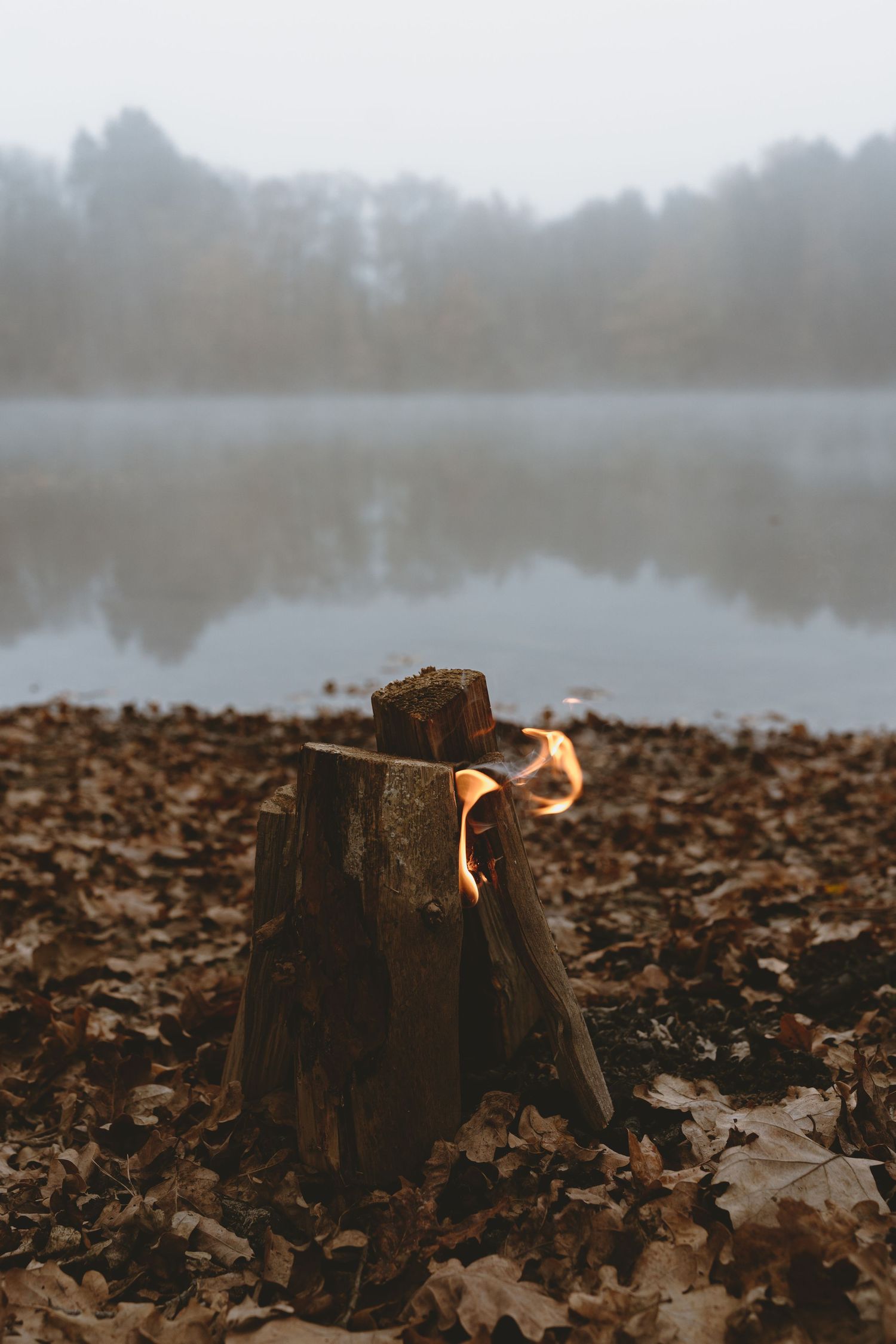 Small flame burning on a tree stump by a misty lake during autumn.