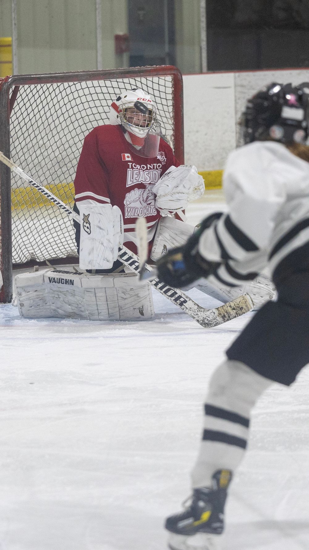Stoney Creek Sabres Girls hockey players during game