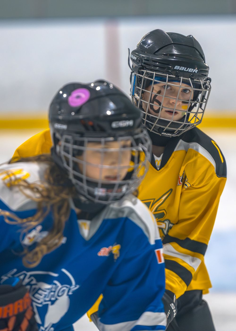 Stoney Creek Sabres Girls hockey players during game